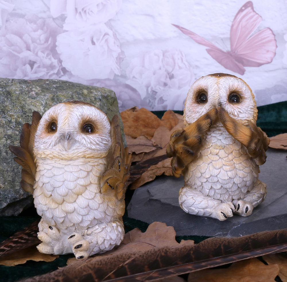 Three Wise Brown Owls 7.5cm: 1 - Figures & Collectables By Gift Moments