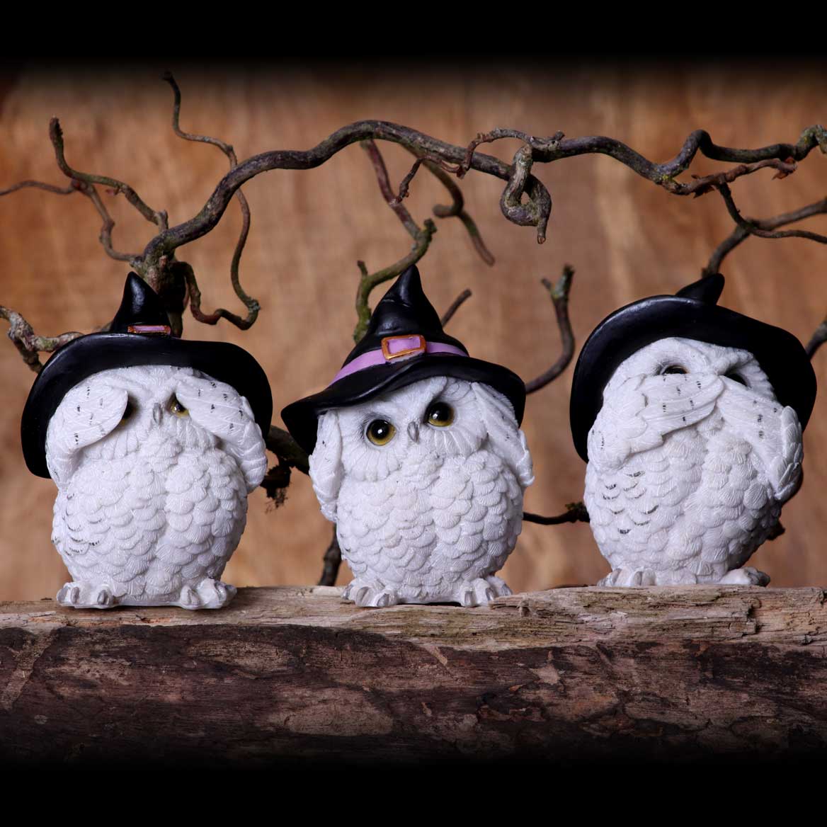 Three Wise Feathered Familiars 9cm: 1 - Figures & Collectables By Gift Moments