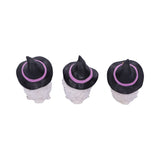 Three Wise Feathered Familiars 9cm: 4 - Figures & Collectables By Gift Moments