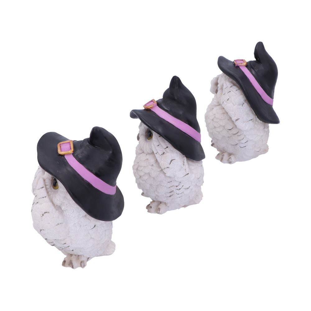 Three Wise Feathered Familiars 9cm - Shop Figures & Collectables At Gift Moments - 3