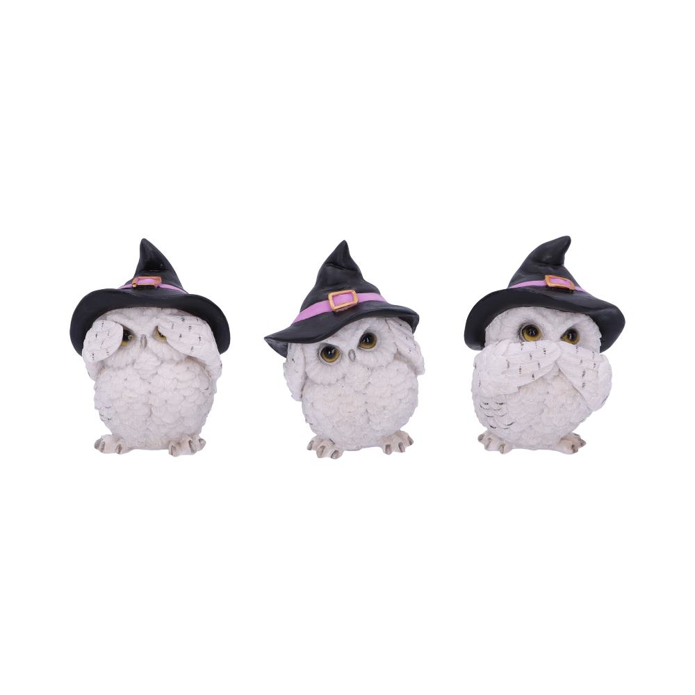 Three Wise Feathered Familiars 9cm: 2 - Figures & Collectables By Gift Moments