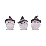 Three Wise Feathered Familiars 9cm: 2 - Figures & Collectables By Gift Moments