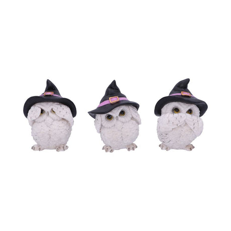 Three Wise Feathered Familiars 9cm: 2 - Figures & Collectables By Gift Moments