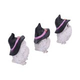 Three Wise Feathered Familiars 9cm: 5 - Figures & Collectables By Gift Moments