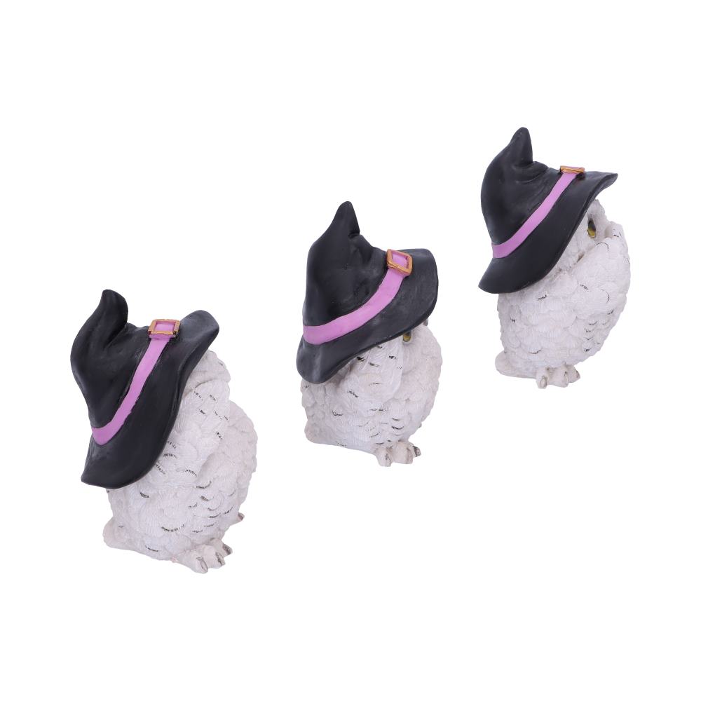 Three Wise Feathered Familiars 9cm - Shop Figures & Collectables At Gift Moments - 5