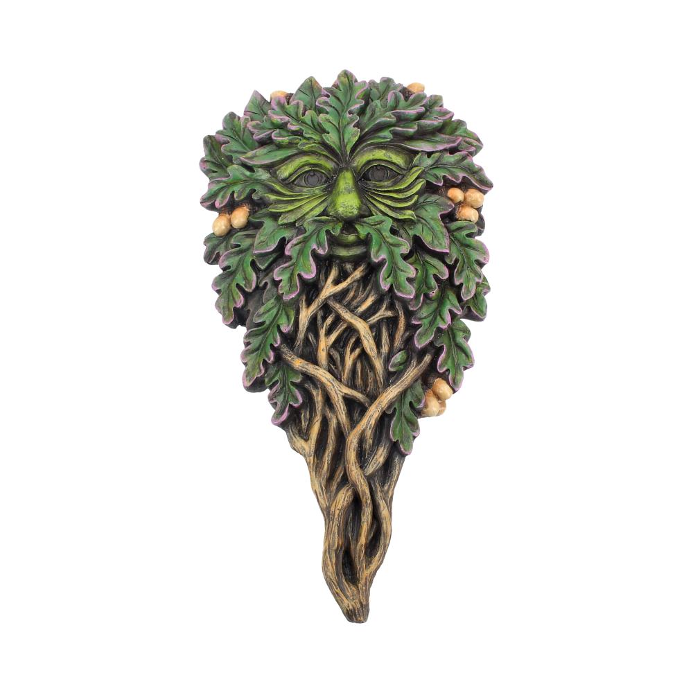 Tree Spirit Wall Plaque All Seeing Oak 29cm: 2 - Wall Hanging Sculptures By NN Designs