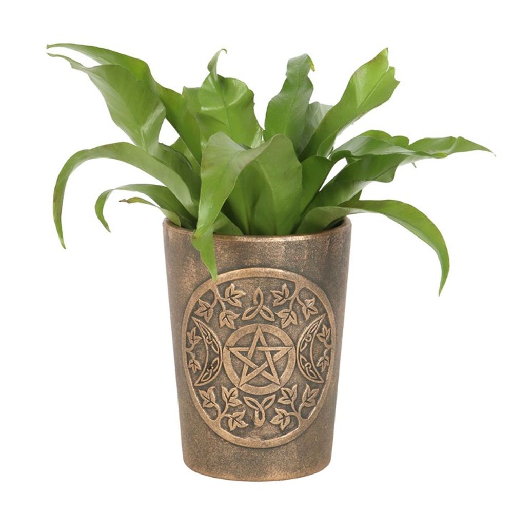 Triple Moon Bronze Terracotta Plant Pot by Lisa Parker: 2 - Pots & Planters By Gift Moments