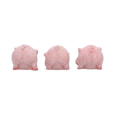 Three Wise Playful Pigs 5.2cm - Shop Figurines Small (Under 15cm) At Gift Moments - 4