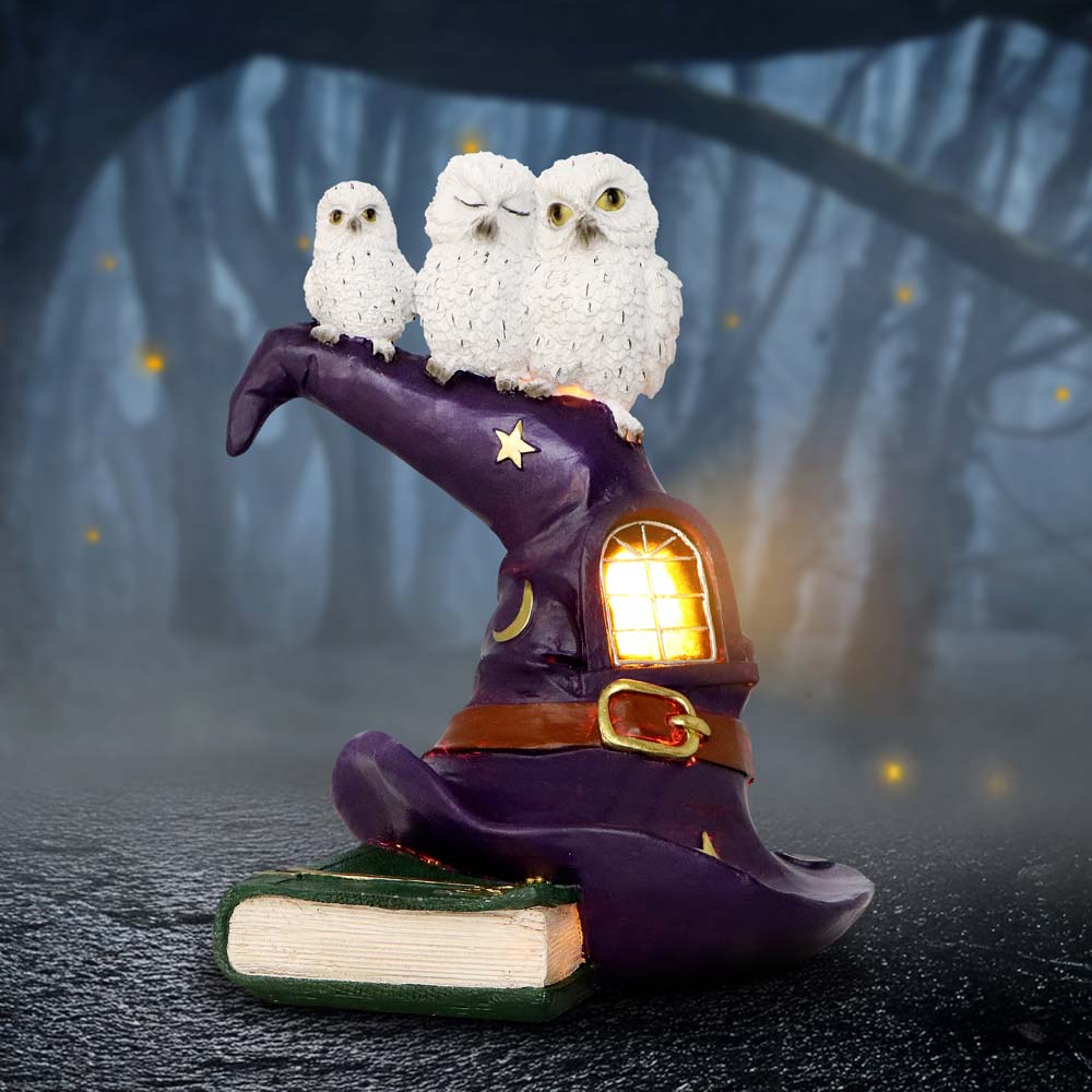 Owl Witch LED Hat Sculpture 18.3cm - Shop Figurines Medium (15-29cm) At Gift Moments - 1