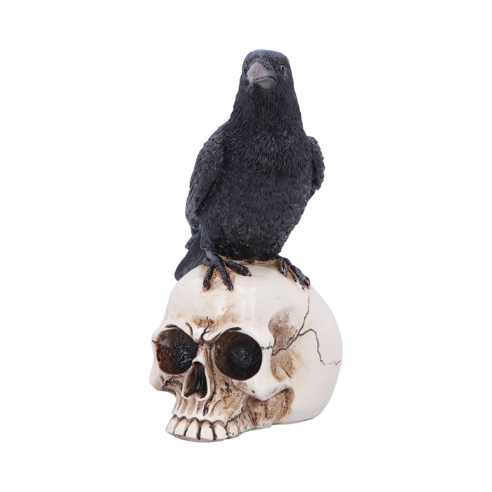 Raven Standing on Skull Figurine 19.5cm - Shop Figurines Medium (15-29cm) At Gift Moments - 3