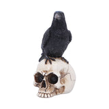 Raven Standing on Skull Figurine 19.5cm - Shop Figurines Medium (15-29cm) At Gift Moments - 3