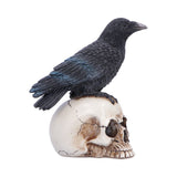 Raven Standing on Skull Figurine 19.5cm - Shop Figurines Medium (15-29cm) At Gift Moments - 5