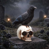 Raven Standing on Skull Figurine 19.5cm - Shop Figurines Medium (15-29cm) At Gift Moments - 1