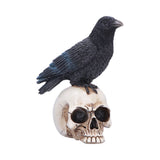 Raven Standing on Skull Figurine 19.5cm - Shop Figurines Medium (15-29cm) At Gift Moments - 2