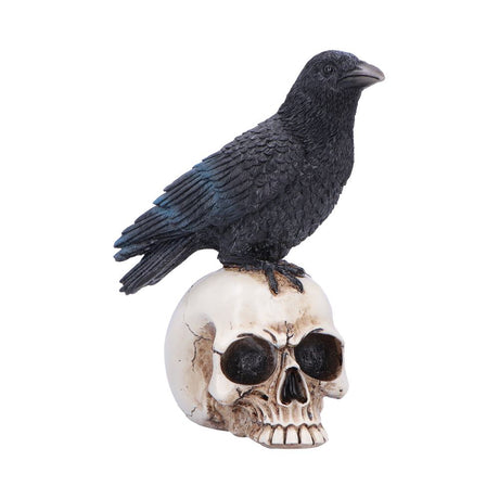 Raven Standing on Skull Figurine 19.5cm - Shop Figurines Medium (15-29cm) At Gift Moments - 2