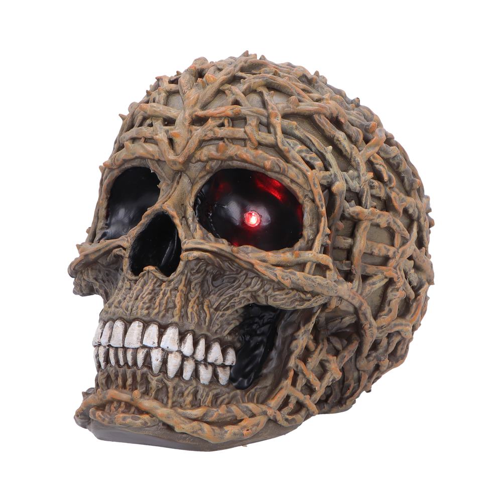 Rooted Vine Skull LED Figurine 15.8cm - Shop Figurines Medium (15-29cm) At Gift Moments - 3