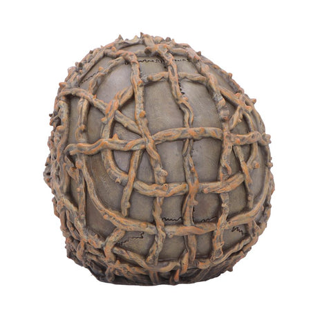 Rooted Vine Skull LED Figurine 15.8cm - Shop Figurines Medium (15-29cm) At Gift Moments - 5