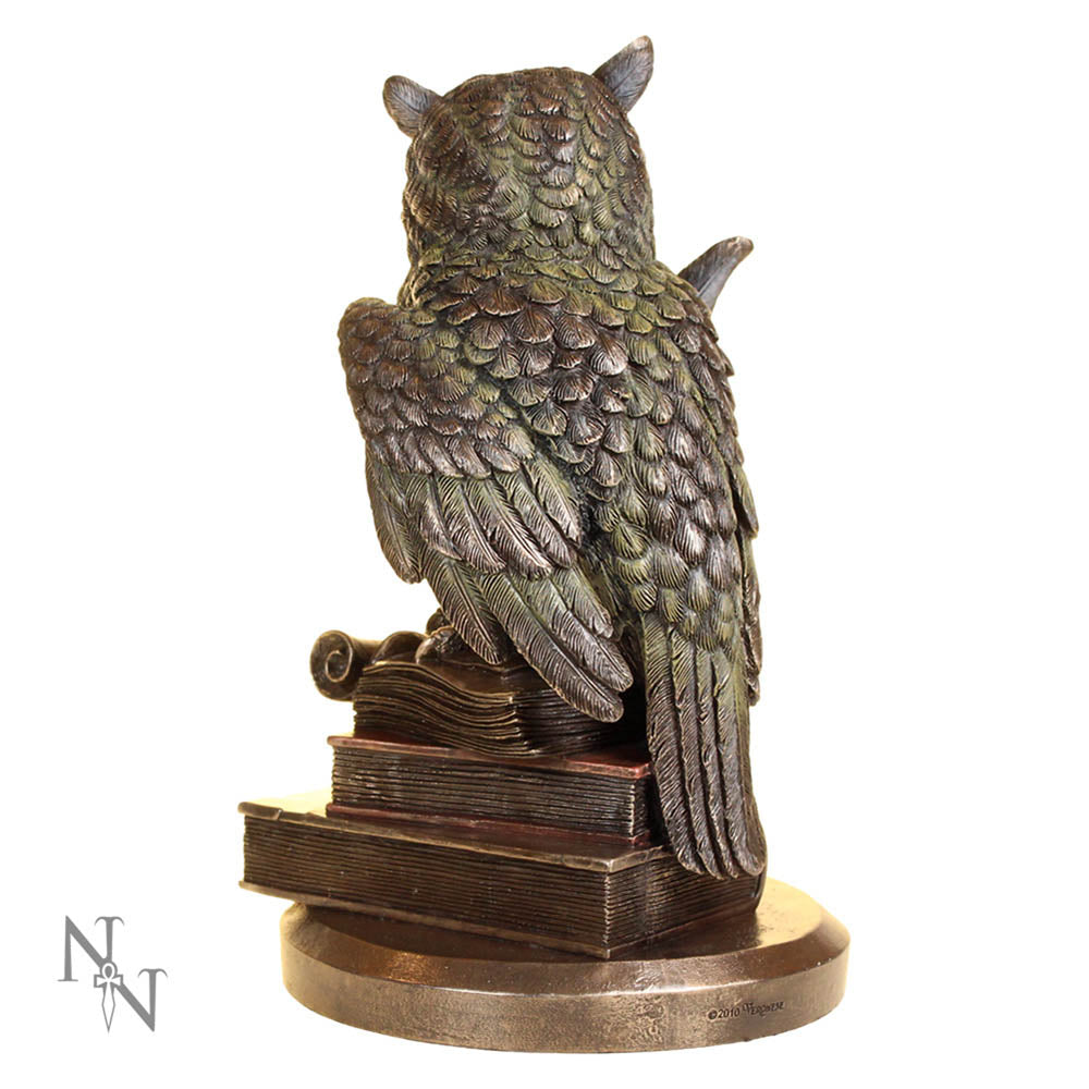 Ulula Bronze Academic Owl Figurine: 4 - Figurines Medium (15-29cm) By Gift Moments
