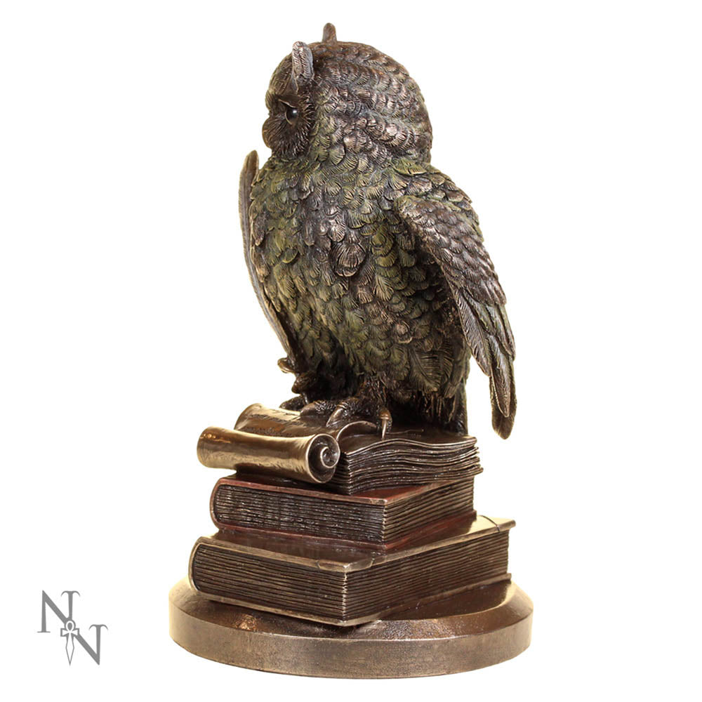 Ulula Bronze Academic Owl Figurine - Shop Figurines Medium (15-29cm) At Gift Moments - 3