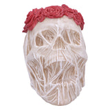 The Veil Skull (Large): 3 - Figures & Collectables By Gift Moments