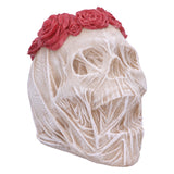 The Veil Skull (Large): 2 - Figures & Collectables By Gift Moments