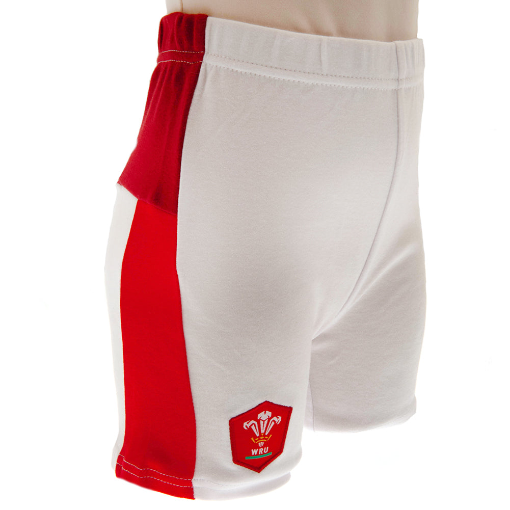 Wales RU Shirt & Short Set 9/12 mths SP: 3 - Baby Clothing By Gift Moments