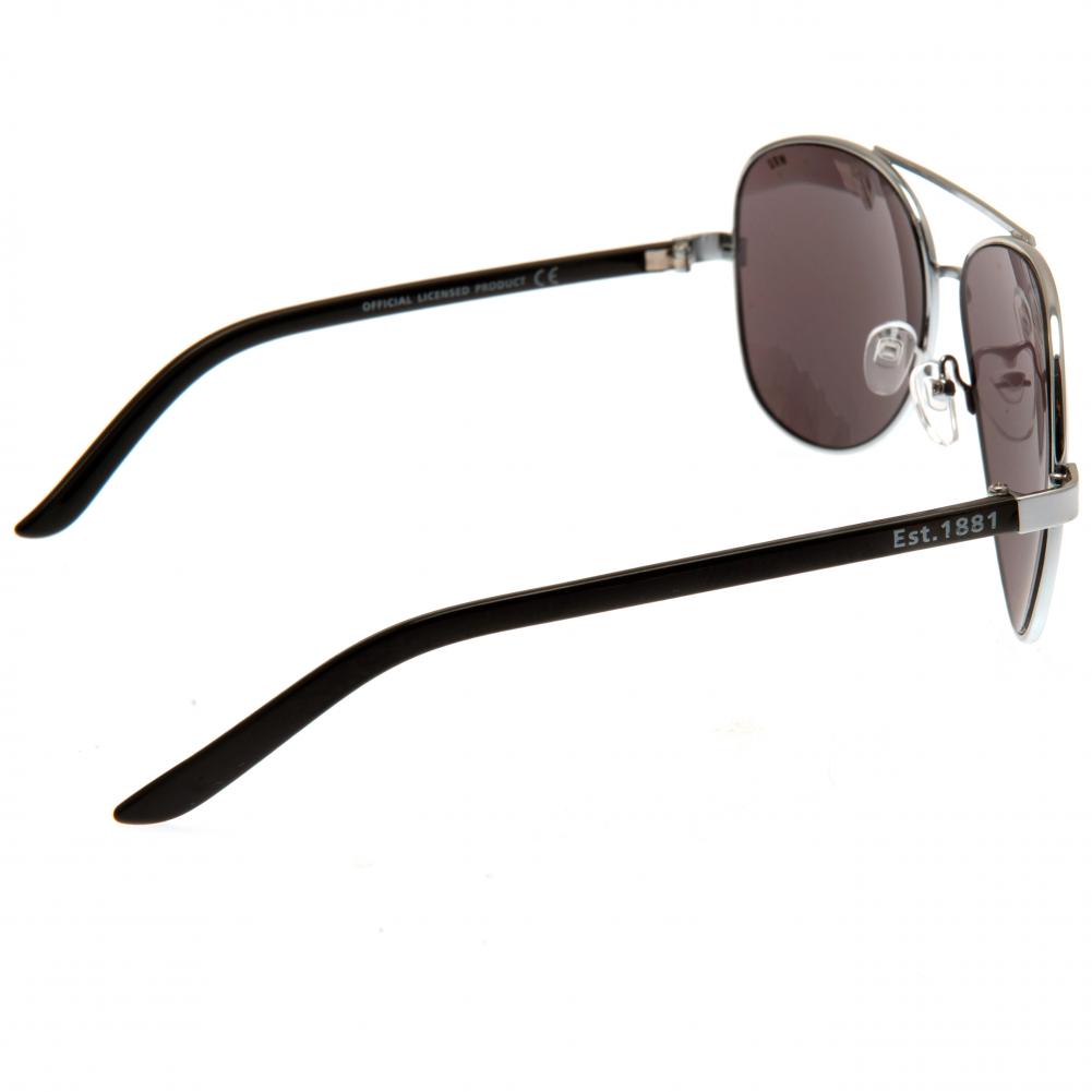 Wales RU Sunglasses Adult Aviator: 3 - Accessories By Gift Moments