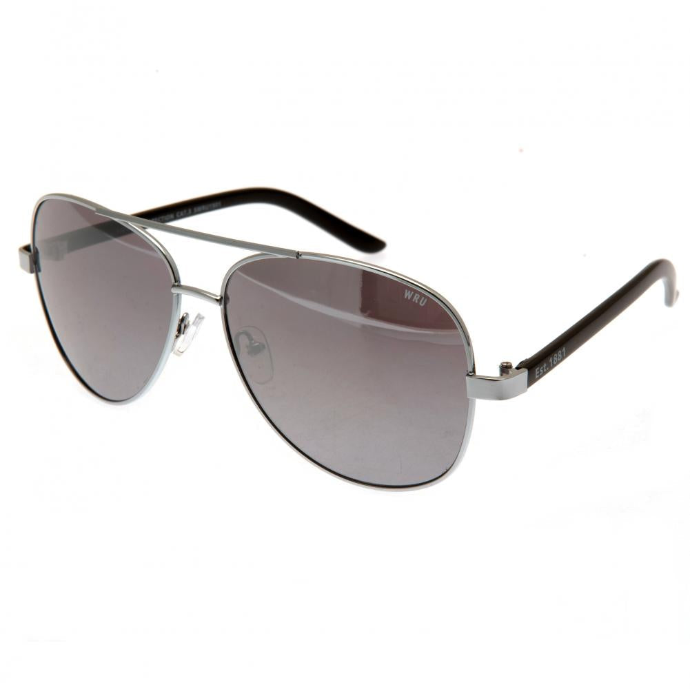 Wales RU Sunglasses Adult Aviator: 1 - Accessories By Gift Moments