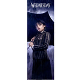 Wednesday Door Poster 303: 1 - Posters By Wednesday