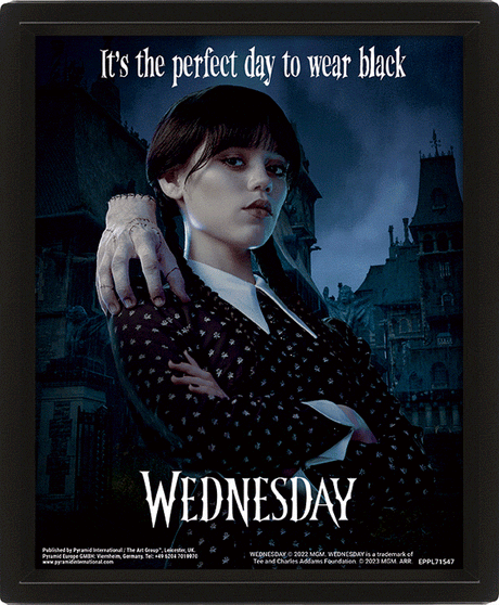 Wednesday 3D Lenticular Framed Picture: 1 - Wall Art By Wednesday