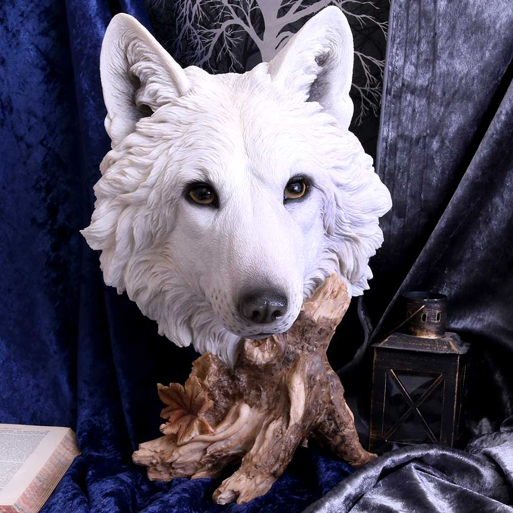 Wild Winter White Wolf Bust 27.5cm: 1 - Figures & Collectables By Gift Moments