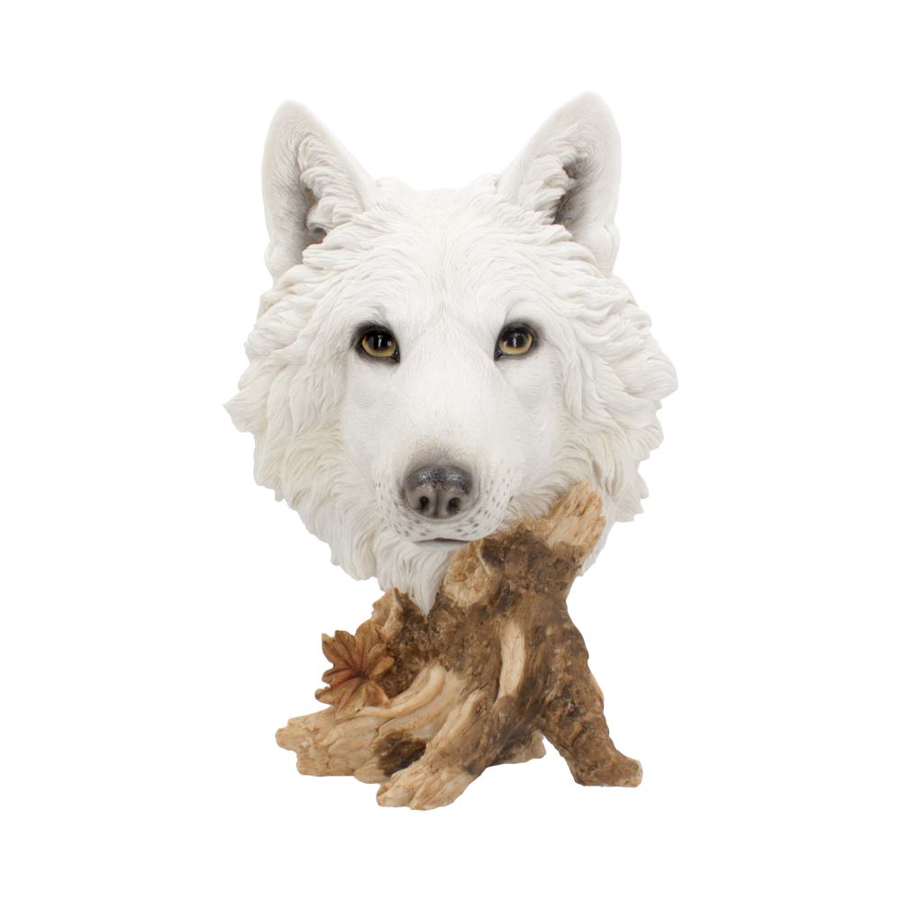 Wild Winter White Wolf Bust 27.5cm - Shop Figures & Collectables At Gift Moments - 2