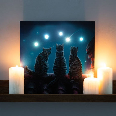 Wish Upon A Star Light Up Canvas Plaque by Lisa Parker: 1 - Wall Art By Gift Moments