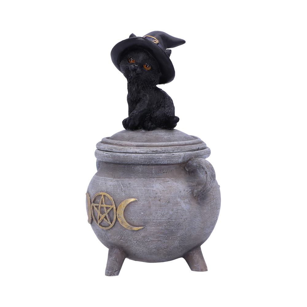 Witch Cat Cauldron Box 14cm: 3 - Boxes By Gift Moments