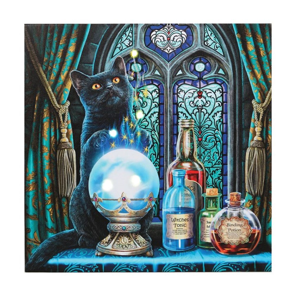 The Witches Apprentice Light Up Canvas Plaque by Lisa Parker: 2 - Wall Art By Gift Moments