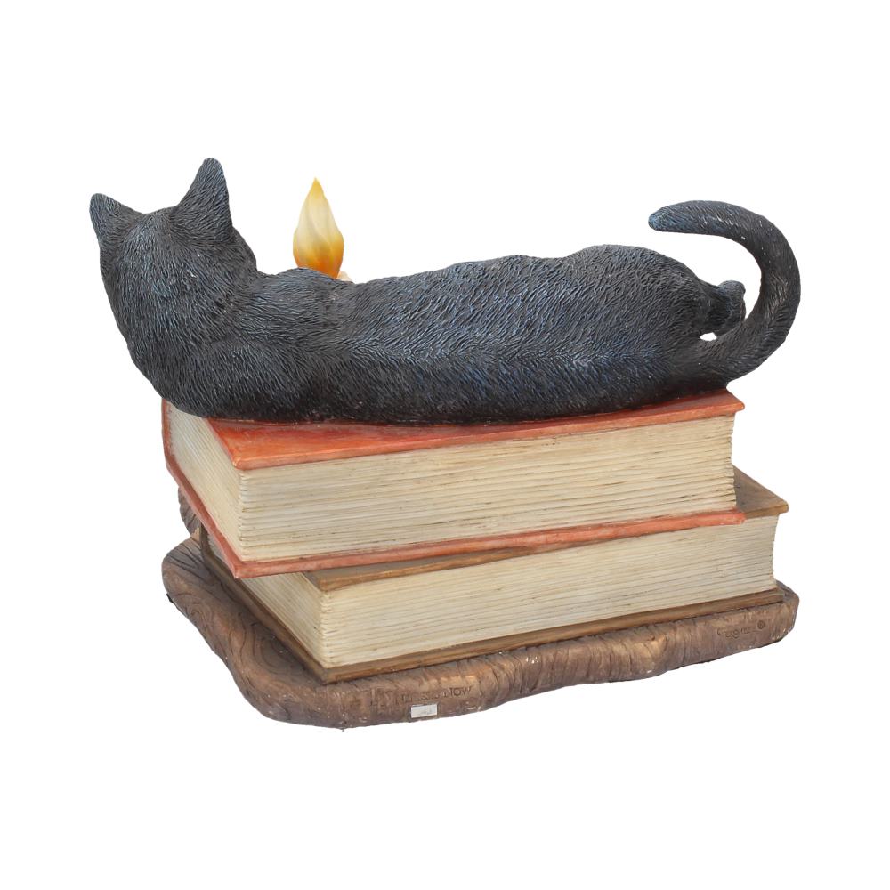 Witching Hour Cat Figurine by Lisa Parker Black Cat & Candle Ornament: 5 - Figurines Medium (15-29cm) By Lisa Parker