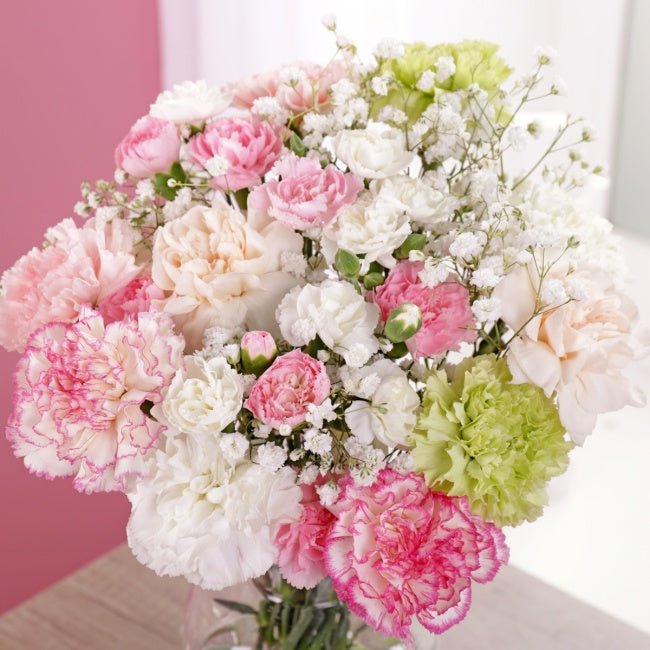Classic Carnation Bouquet - Gift Moments
