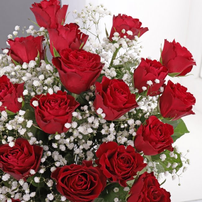 24 Luxurious Red Roses - Gift Moments
