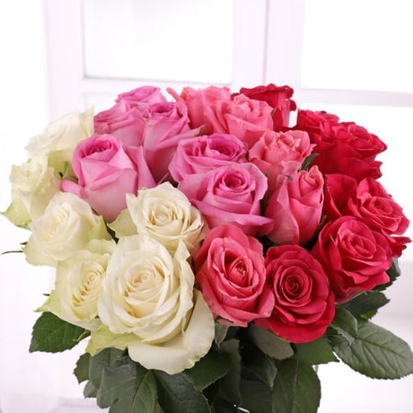 24 Ombre Roses - Gift Moments
