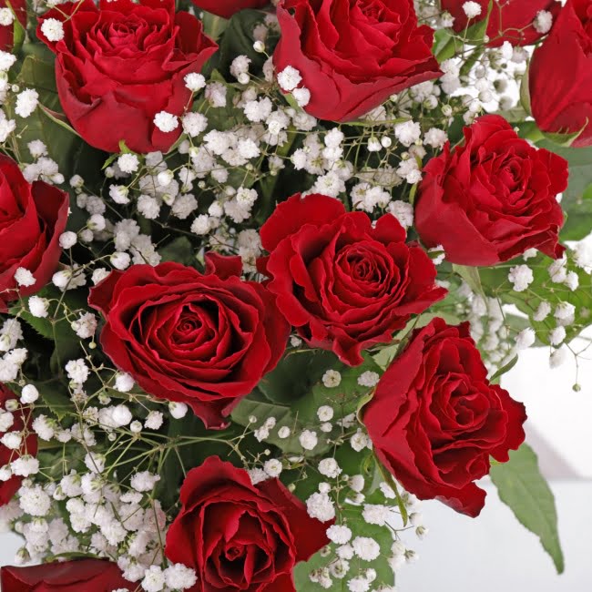 24 Red Roses & Prosecco - Gift Moments