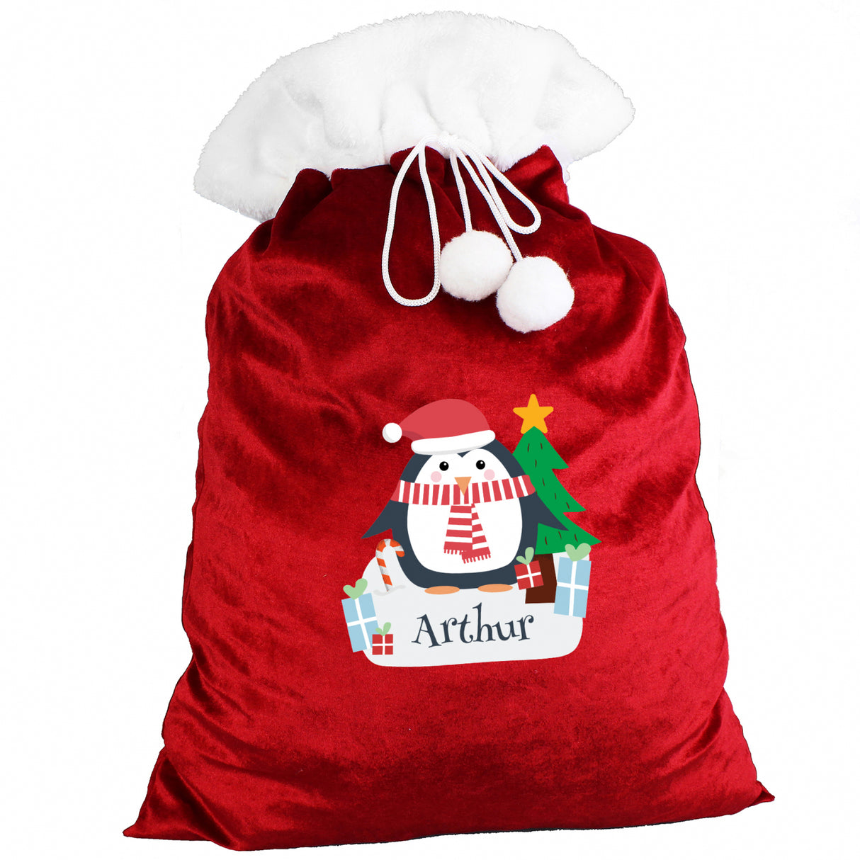 Christmas Penguin Luxury Red Sack - Gift Moments