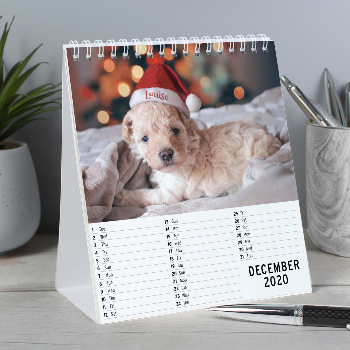 Cute Animals Desk Calendar - Gift Moments