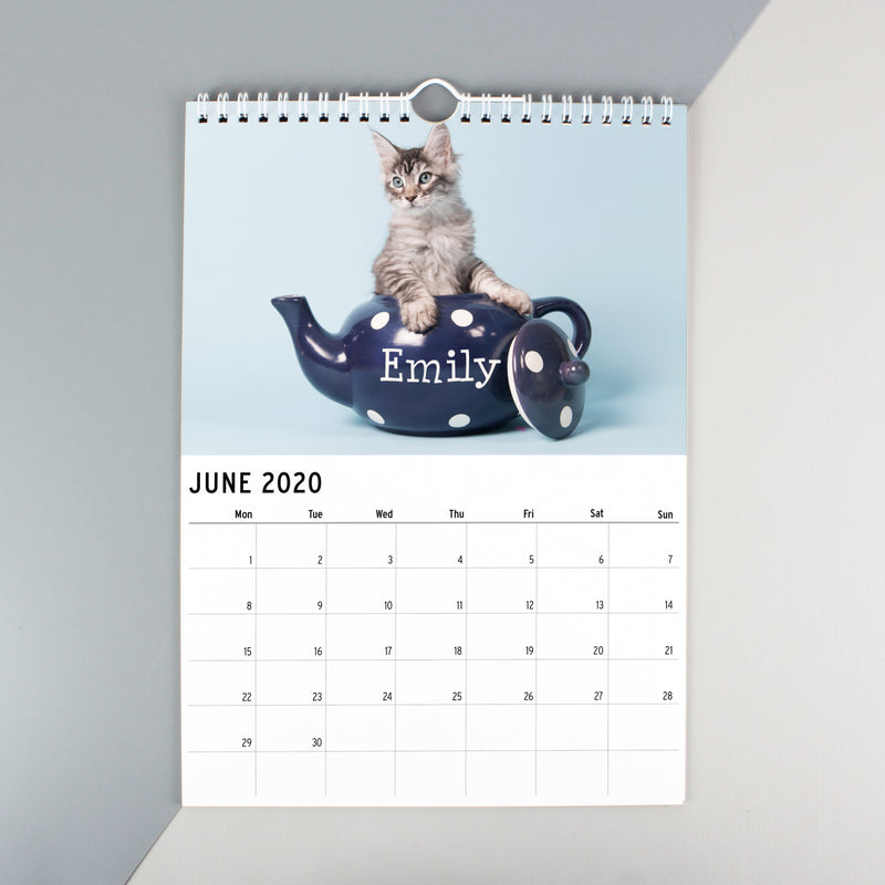A4 Cats & Kittens Calendar - Gift Moments