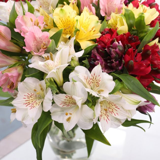 Alstroemeria Bouquet - Gift Moments