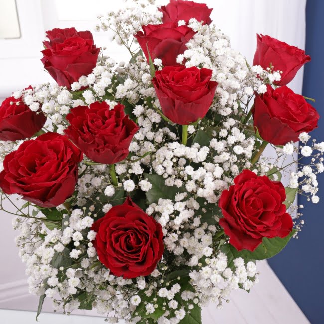 Dozen Red Roses & Gypsophila - Gift Moments
