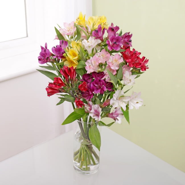 Letterbox Alstroemeria - Gift Moments