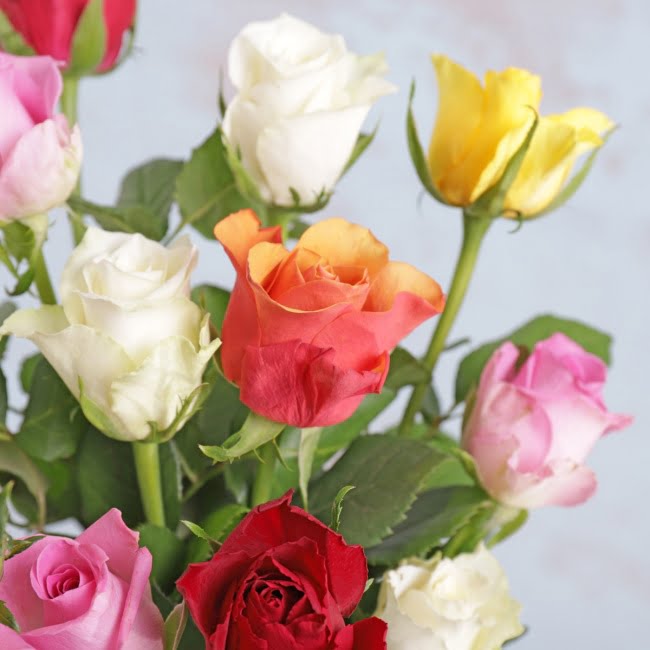 Letterbox Colourful Roses - Gift Moments