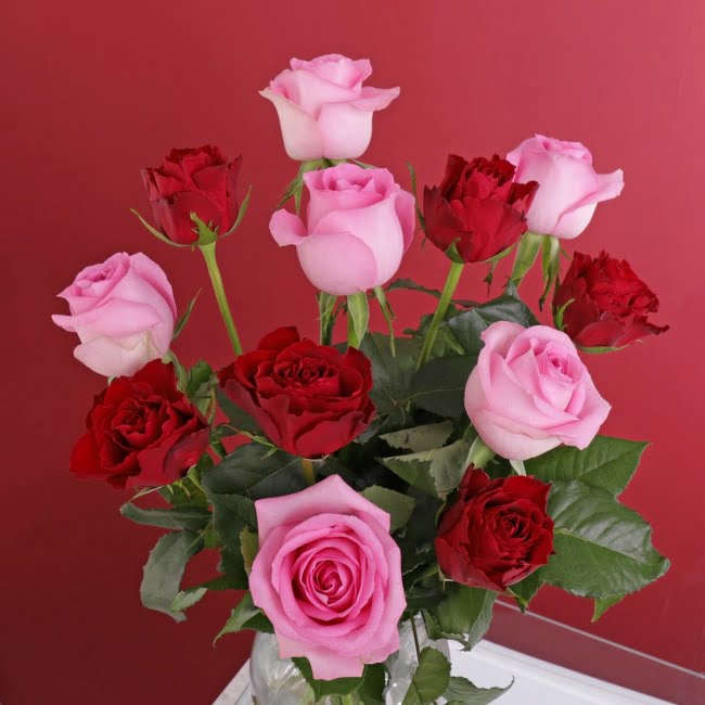 Letterbox Red & Pink Roses - Gift Moments