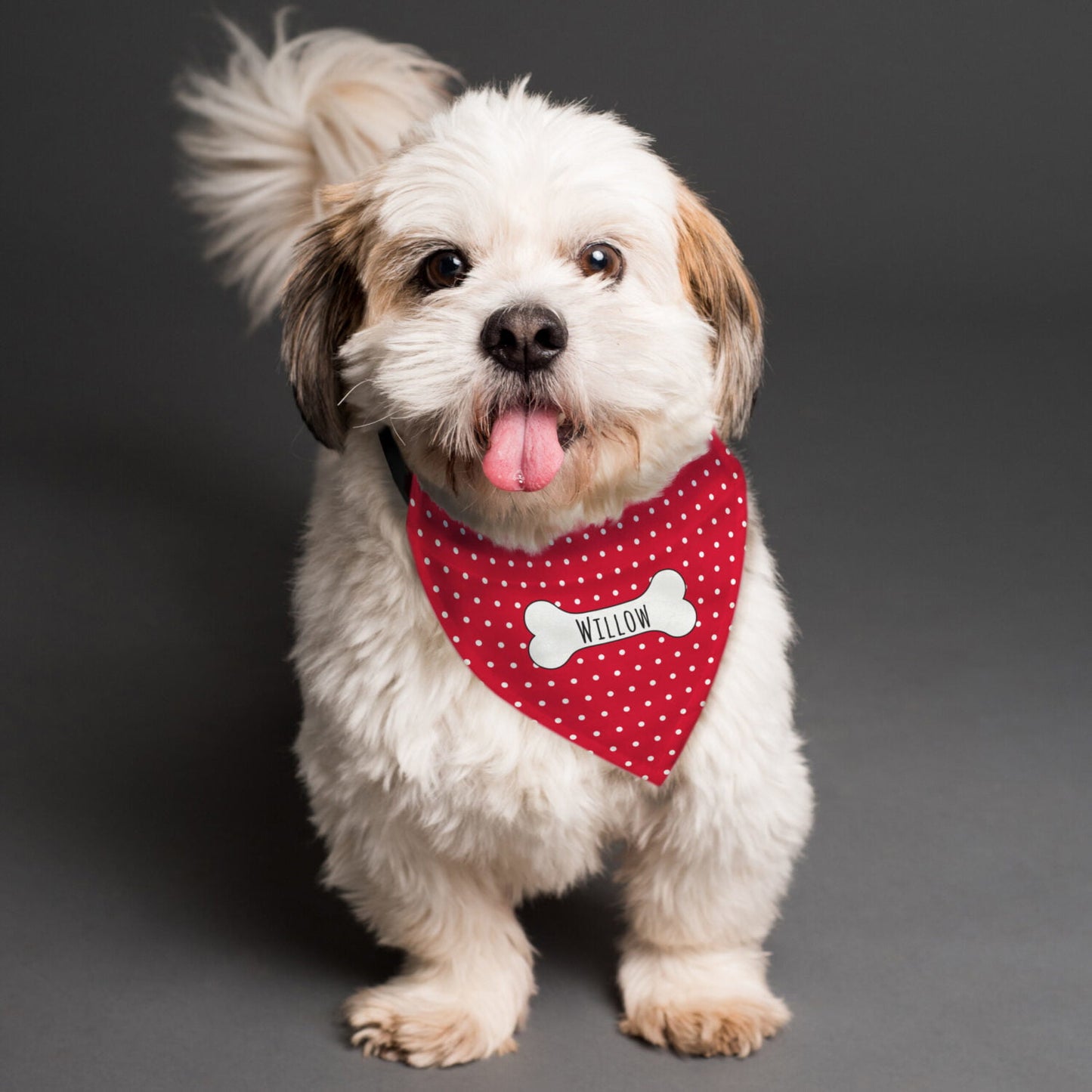 Personalised Red Polka Dot Dog Bandana: 3 - Pet Products By Gift Moments