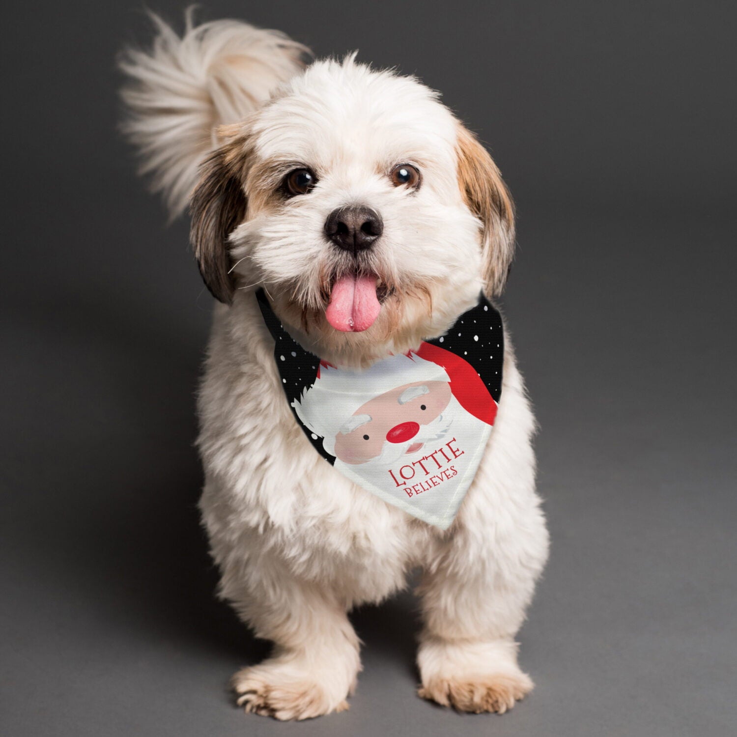 Personalised Santa Dog Bandana: 2 - Pet Products By Gift Moments